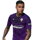 Erick Pulgar