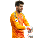 Fabricio Coloccini
