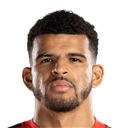 Dominic Solanke
