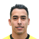 Sergio Araujo