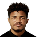 Nogueira