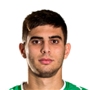 Giannis Bouzoukis