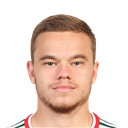 D. Rybchinskiy