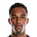 Danny Hoesen