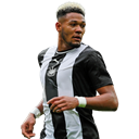 Joelinton