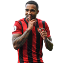 Callum Wilson