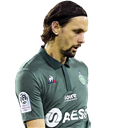 Neven Subotić