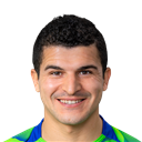 Tarik Elyounoussi