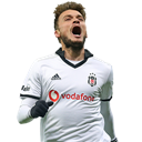 Adem Ljajić