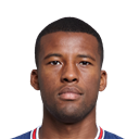 Georginio Wijnaldum