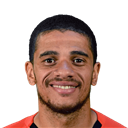 Taison