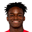 D. Guindo