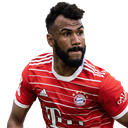 Eric Maxim Choupo-Moting