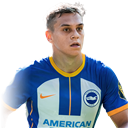 Leandro Trossard