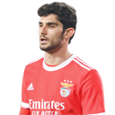 Gonçalo Guedes