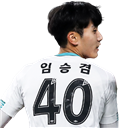 Lim Seung Gyeom