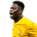 Brice Samba