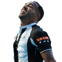 Callum Wilson