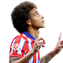 Axel Witsel