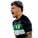 Araújo