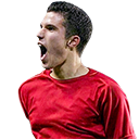 Robin van Persie