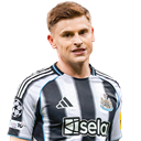 Harvey Barnes