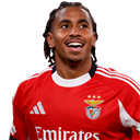 Leandro Barreiro Martins