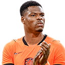 Denzel Dumfries