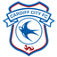 Cardiff city