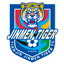 Tianjin Jinmen Tiger FC