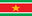 surname